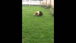 Backyard Wrestling