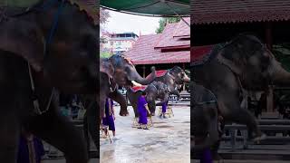 快来一起牛 #年味 #晒晒家乡的年夜饭 #china #travel