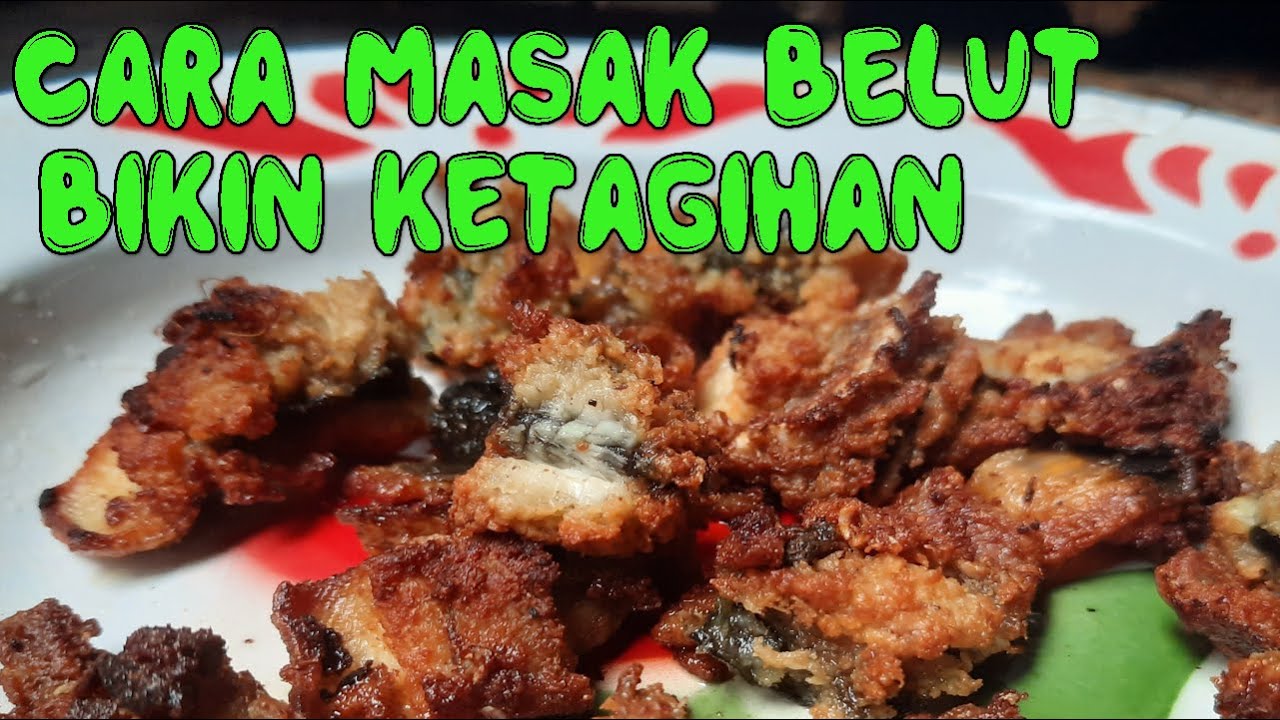 CARA MENGOLAH BELUT TANPA RIBET - PRAKTIS DAN BIKIN KETAGIHAN 