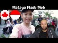 Mataya Flash Mob (MFM) KHP Kridhamardawa Keraton Yogyakarta | Indonesia | MR Halal Reacts