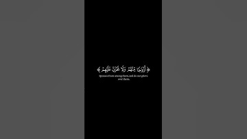 اكتب شيء تؤجر عليه 😊💙🍃القرآن الكريم شاشة سوداء