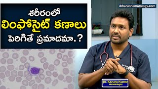 Reasons For High Lymphocyte Count | Lymphocytosis | Dr Karuna Kumar | Hematologist