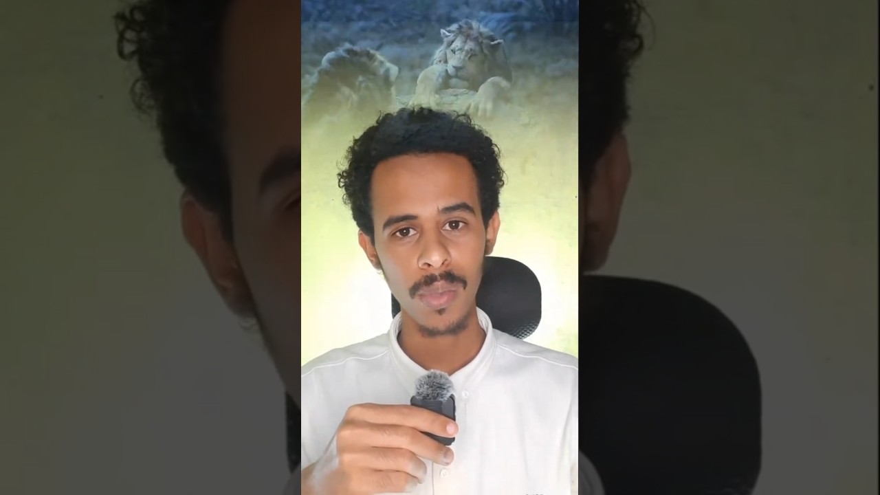 The past can hurt but either you run from it or learn from it. 