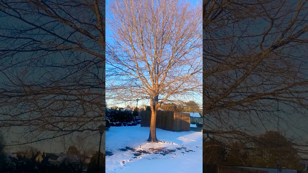Beautiful Village Life in America | Sunny Day after the Snowfall. 🇺🇸☘️😍