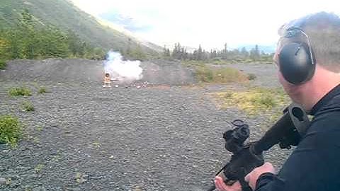 Bushmaster AR 15 EXPLODING TARGETS!