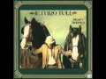 Jethro Tull - Acres Wild