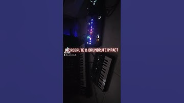 MICROBRUTE&DRUMBRUTE IMPACT #dawless #analogsynth #synthesizer #microbrute #drumbruteimpact #arturia