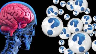 Psychological Marketing - The 3 Brains