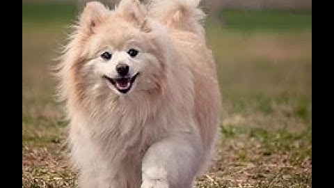 Into the Wild: A Stunning Journey Through the Heart of the African Savanna