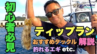 初心者必見【ティップラン解説】おすすめタックル & 釣れるエギ & 釣り方 etc. in 岡山県宇野港発 瀬戸内海【アオリイカ】【ボートエギング】