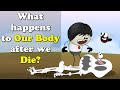 What happens to Our Body after we Die? + more videos | #aumsum #kids #science #education #children