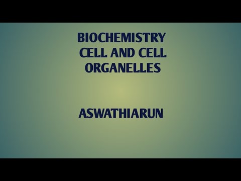 Cytoskeleton and cytoplasm - YouTube