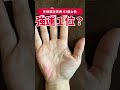 【手相実例】今月鑑定分で「強運1位」を争うステキな手のひら #shorts #手相