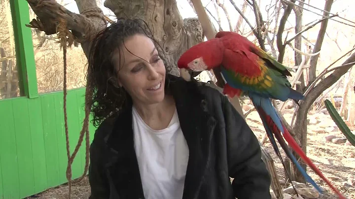 01-11-2022 After Attacks, Pahrump's Heidi Fleiss Plans To Relocate Birds To Missouri