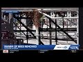 Bees swarm removed from Acrisure Stadium stage scaffolding ahead of Morgan Wallen concerts