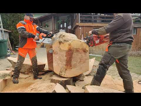 Stihl MS 661 vs. Husqvarna 390 XP