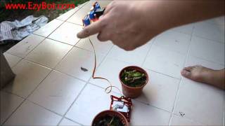 Ezy Mini 6-Legs Robot