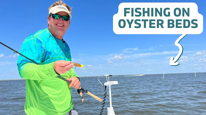 Fishing on Oyster Beds: How to Approach, Best Bait...