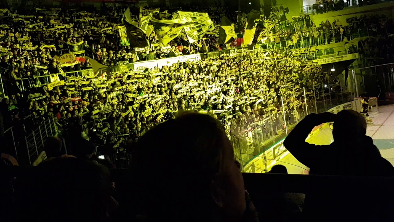 Krefeld Pinguine gegen Düsseldorfer EG vor dem Spiel