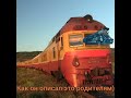 Д1 и Матриса д1