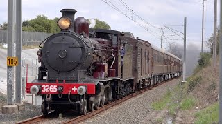 3237-3265 Richmond Shuttles 2019