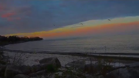 light blending in - solar story