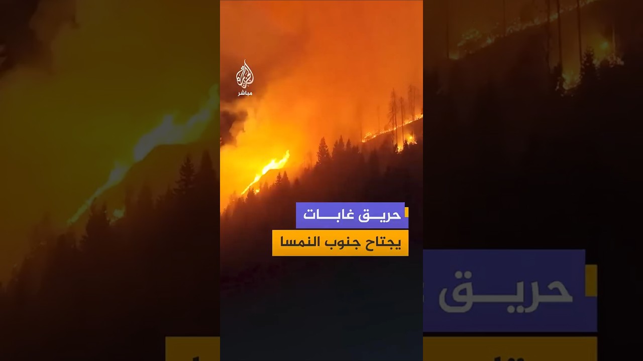حريق غابات يجتاح جنوب النمسا