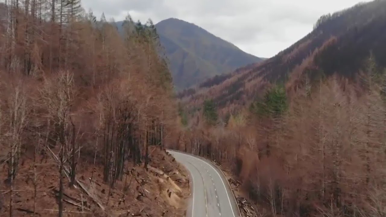 Oregon Forests Advisory Committee update on Santiam State Forest