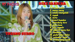 TRESNO SUDRO, IMING IMING | DIKE SABRINA FULL ALBUM TERBARU 2024 #dikesabrina