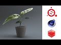 Realistic Plant Texturing and Rendering using Substance Painter, Cinema 4D, and Redshift