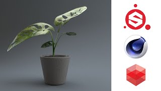 Realistic Plant Texturing and Rendering using Substance Painter, Cinema 4D, and Redshift