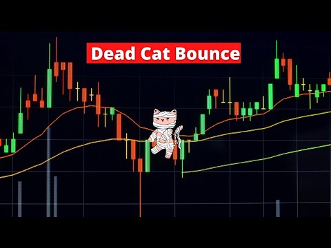 Is This A Dead Cat Bounce? Stocks u0026 Crypto