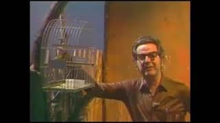 Dvd Viola Minha Viola 1980 A 1989 - Moraes Sarmento - Inicio - 01 - Aa3015.