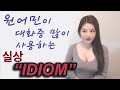 배우지 않으면 모를 재밌는 영어표현 idiom 영어관용어! I 니나