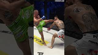 Head Kick KO!!