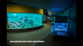 TOP Places to visit in Kota Kinabalu, Sabah - UMS AQUARIUM and MARINE MUSEUM screenshot 5