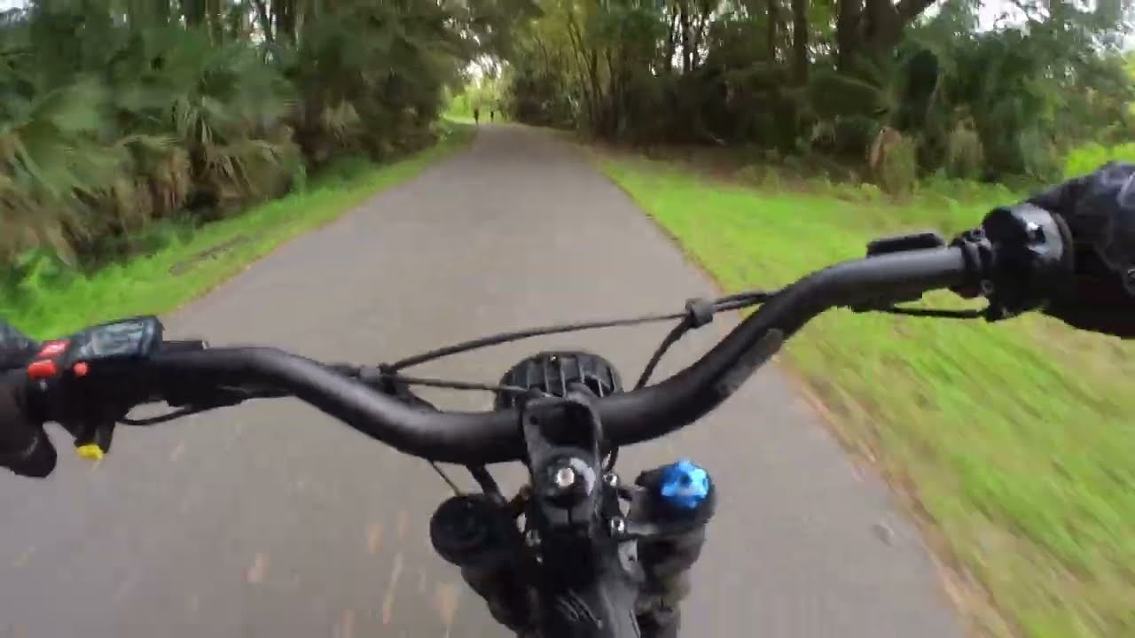 Checking on the Ducks and checking whats dry enough to ride YouTube
