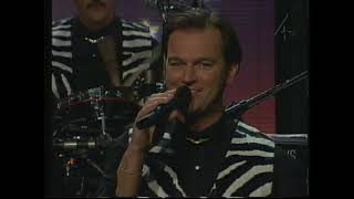 OM DU INTE KOMMER HEM IKVÄLL     SCHYTTS    1994