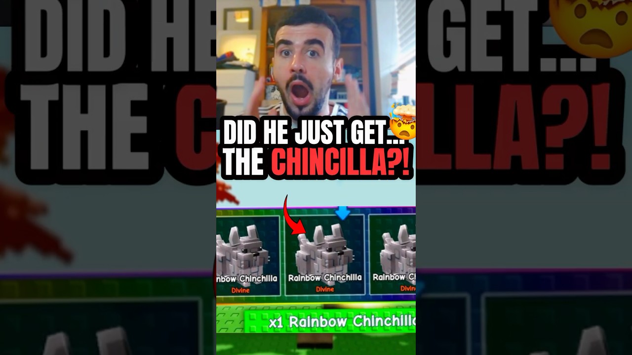 МЫ ТОЛЬКО ЧТО УПАКОВАЛИ НОВОГО ПИТОМЦА ШИНШИЛЛУ!?! 🤯