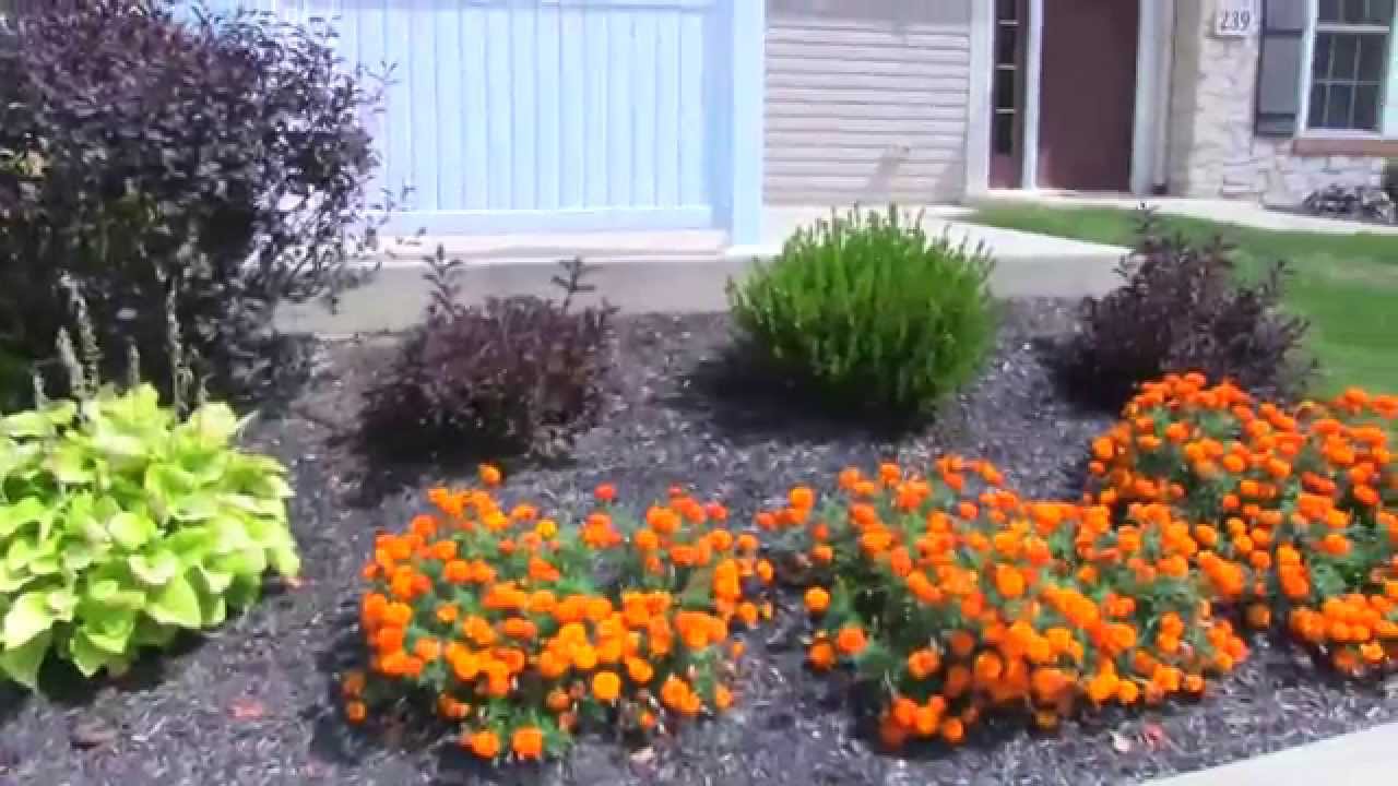 2618 Wetherington Ln Unit 239, Wooster, (Lifelike Virtual 360 Tour