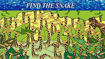 Find The Hidden Object | Hidden Object Game | AR Entertainment | Brain Teaser