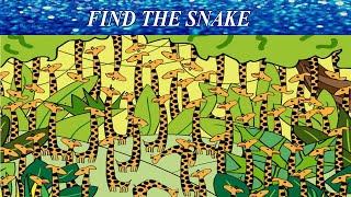 Find The Hidden Object | Hidden Object Game | AR Entertainment | Brain Teaser