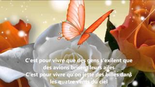Miniatura de vídeo de "Céline Dion - C'est pour vivre (Lyrics)"