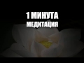 1 минутна медитация за всеки ден с Ясен Николов