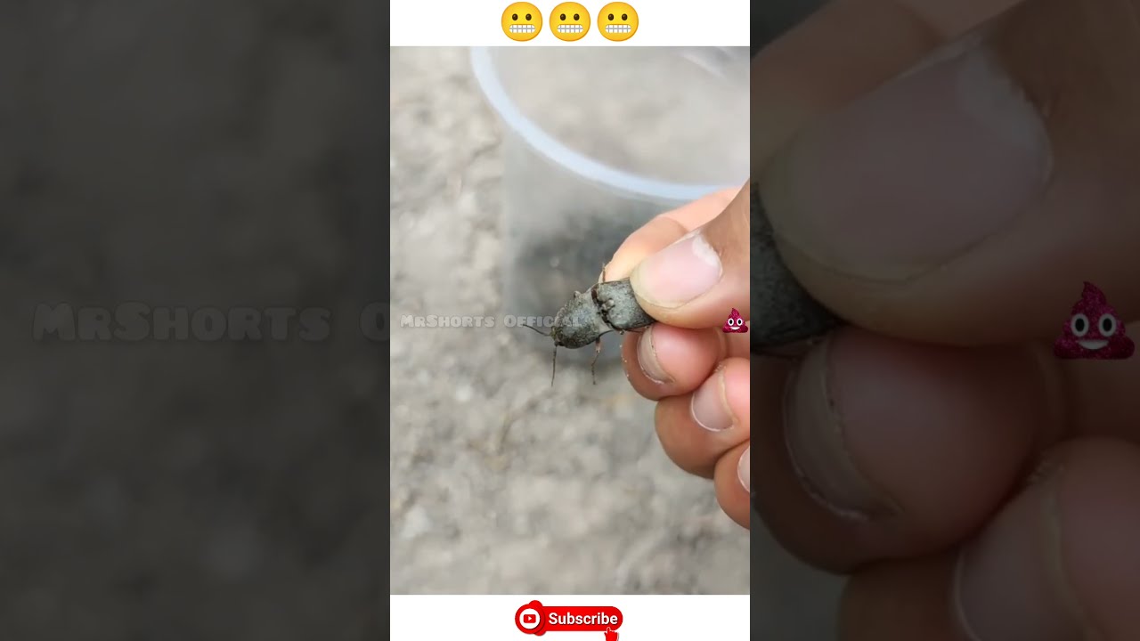 Popcorn 🍿🥶 | bugs sound like popcorn 