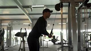 Dual handle tricep pushdown