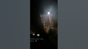 Thumbnail of Coqui at night in Puerto Rico #subscribe #travel #puertorico #placestovisit