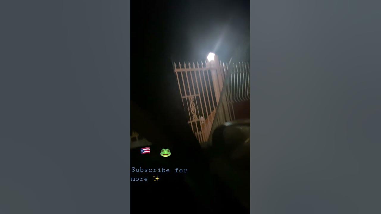 Coqui at night in Puerto Rico #subscribe #travel #puertorico #placestovisit