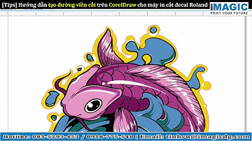 [Tips] Hướng dẫn tạo đường viền cắt contour cut trên CorelDraw