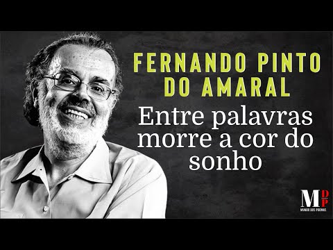 Entre Palavras Morre A Cor Do Sonho | Poema de Fernando P. Amaral com narração de Mundo Dos Poemas